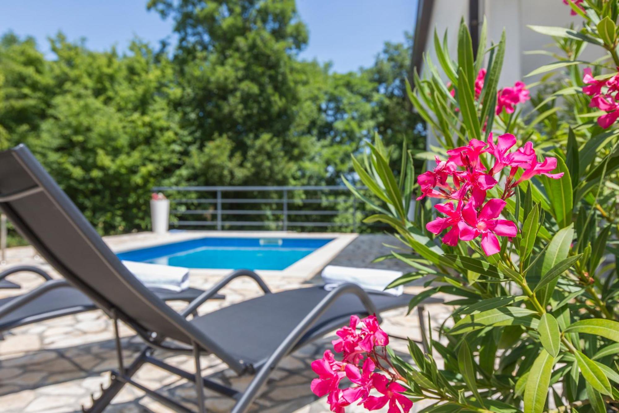 Rea Villa Labin (Istria)